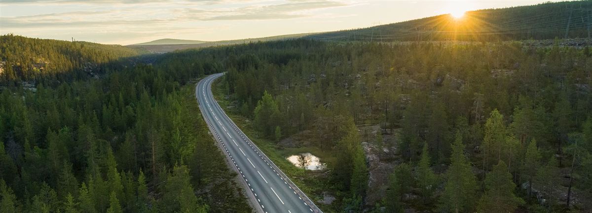 Vei går gjennom skogen