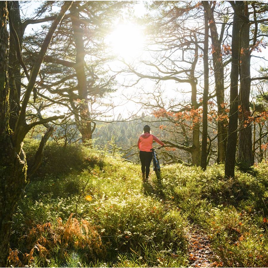 Woman walking with her bike in the forrest